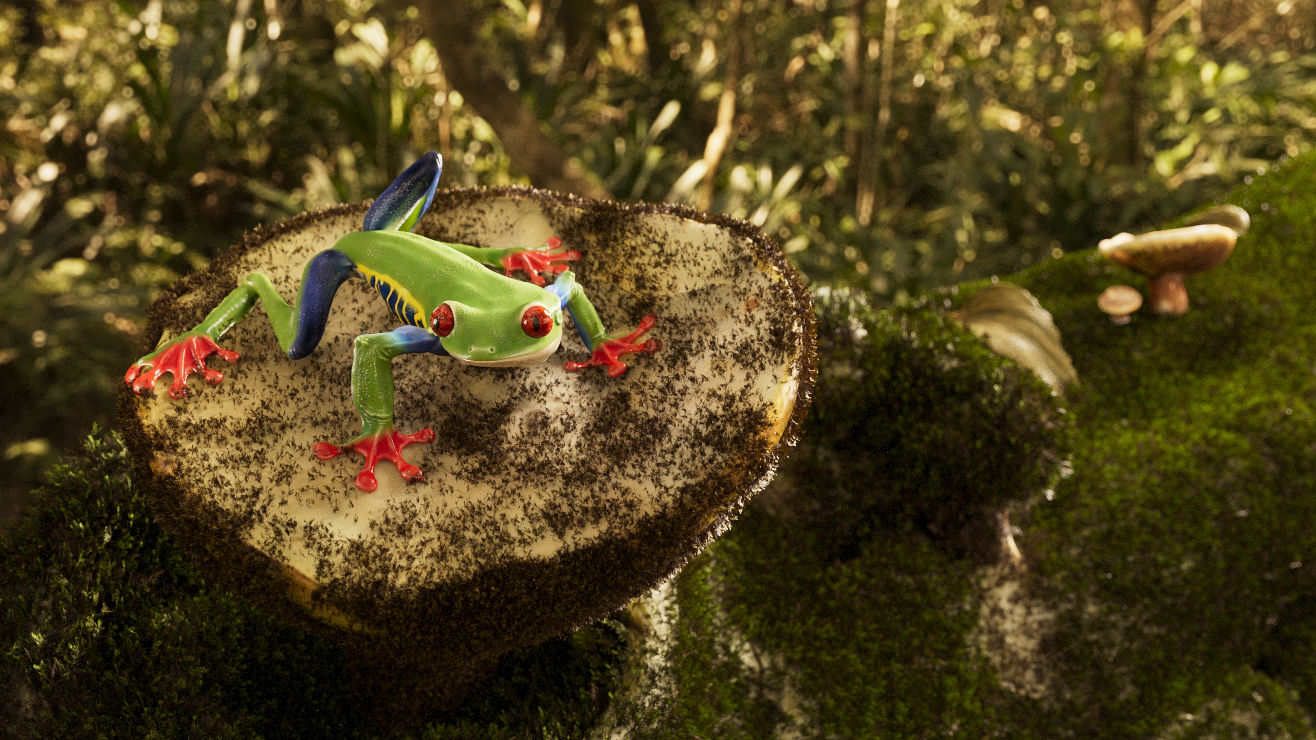 The Rainforest Sentinel