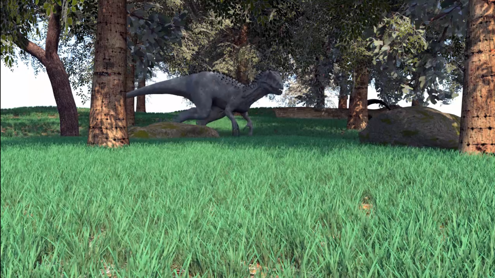 Irex Walks Through Nature