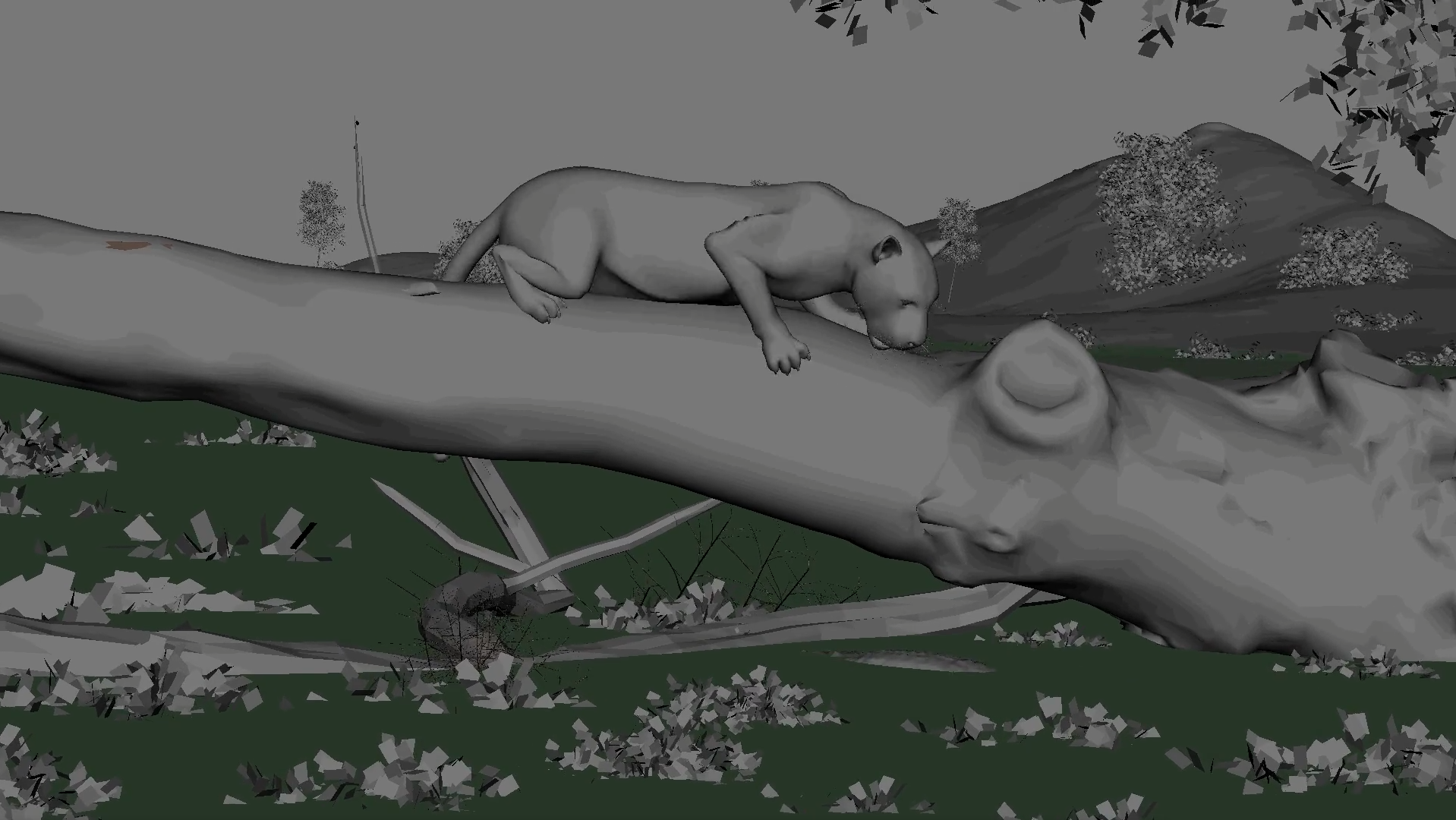 Leopard looking For Food On Water