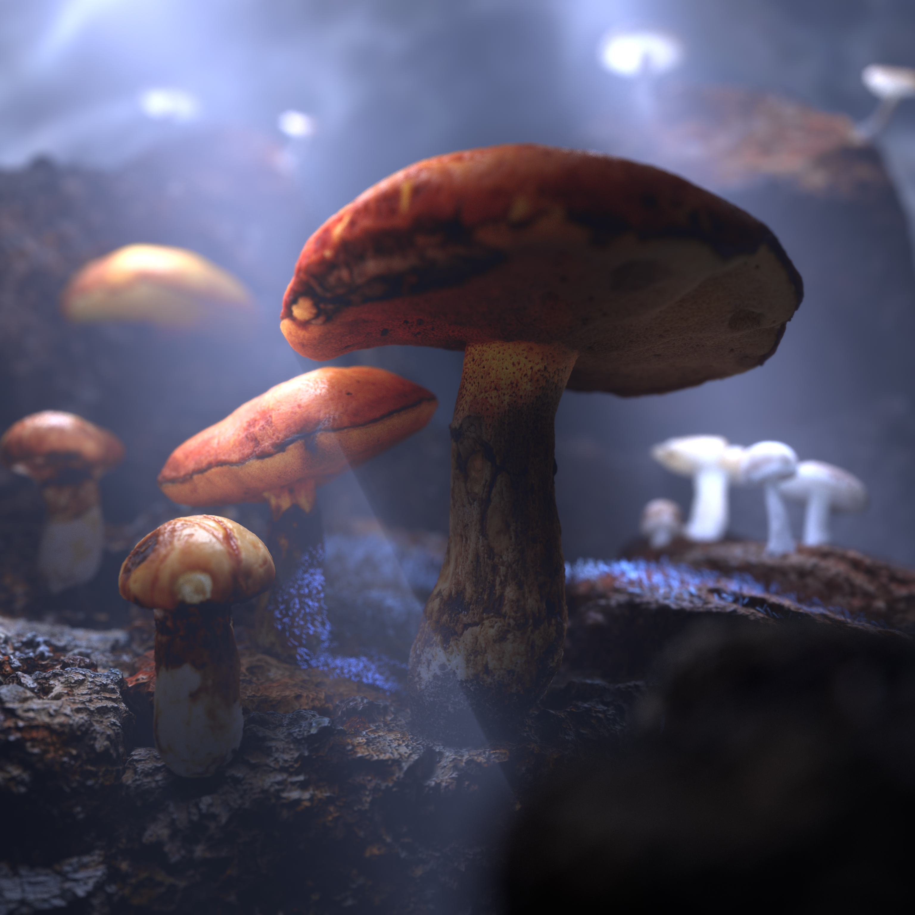 Mushroom Cave