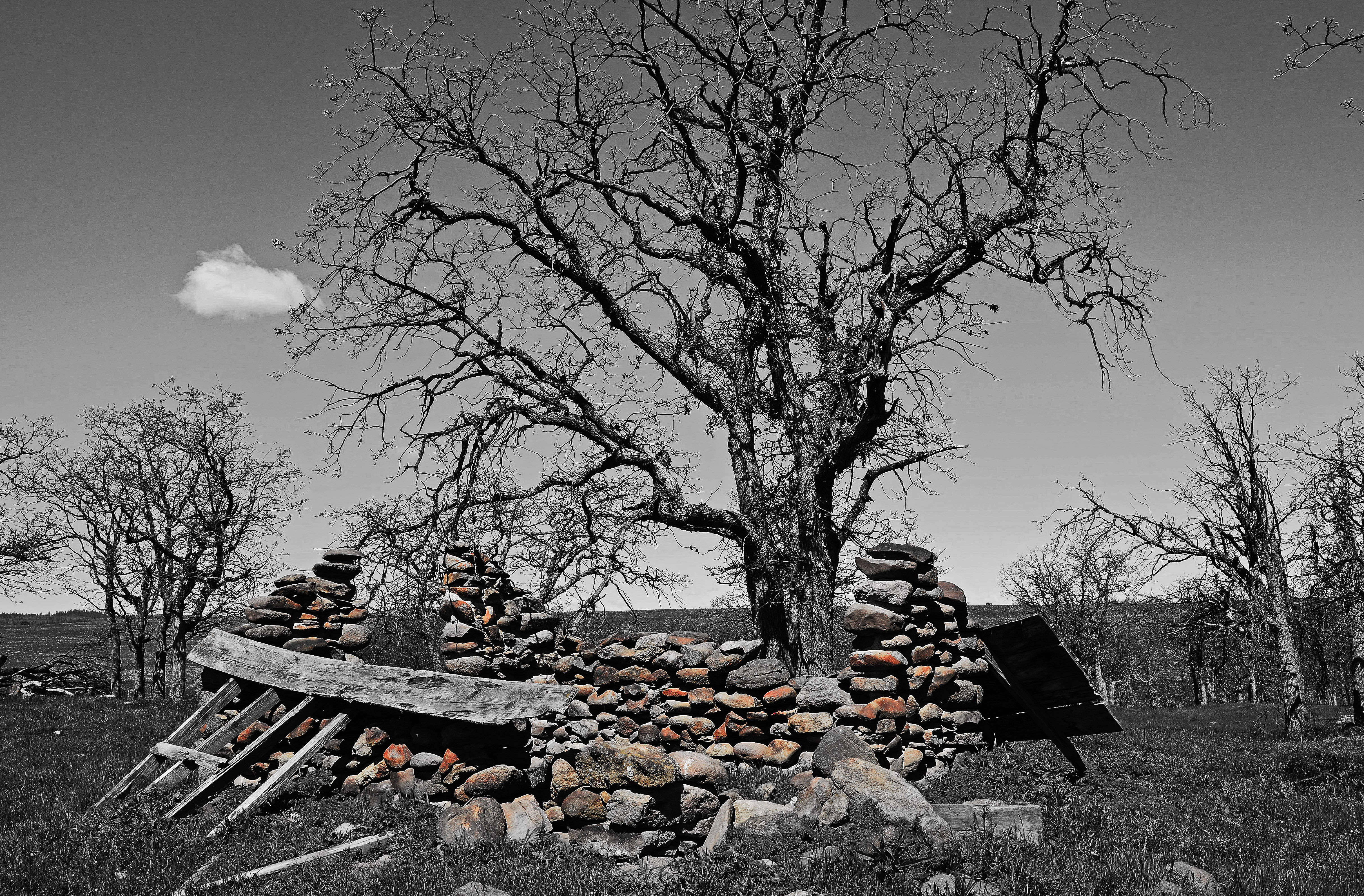 Dilapidated Stone Homestead