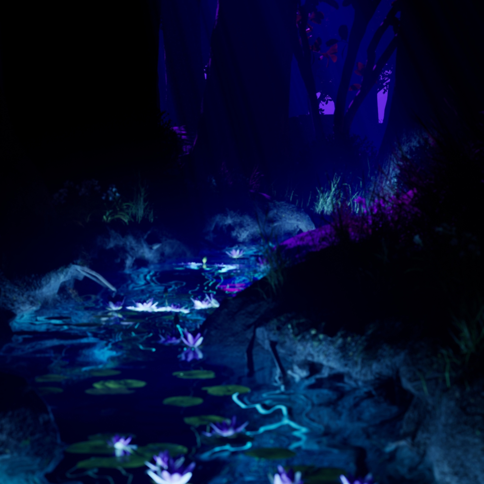 Night in the enchanted forest