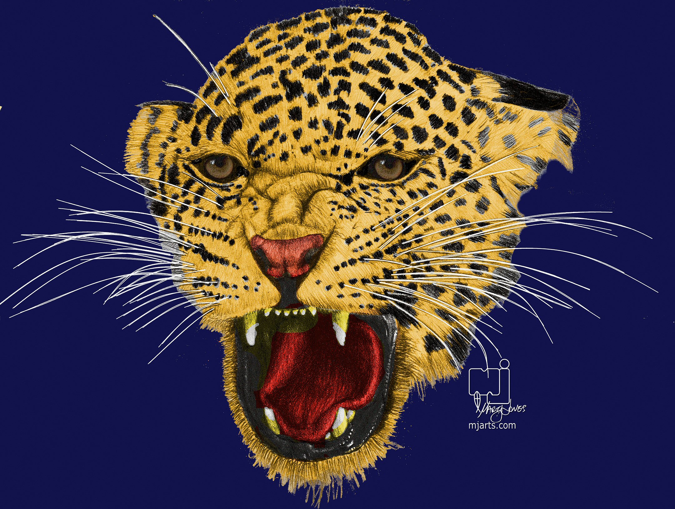 Leopard face