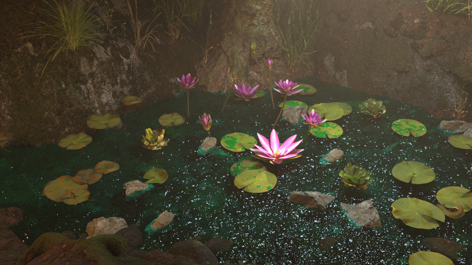 Lotus in the Lake