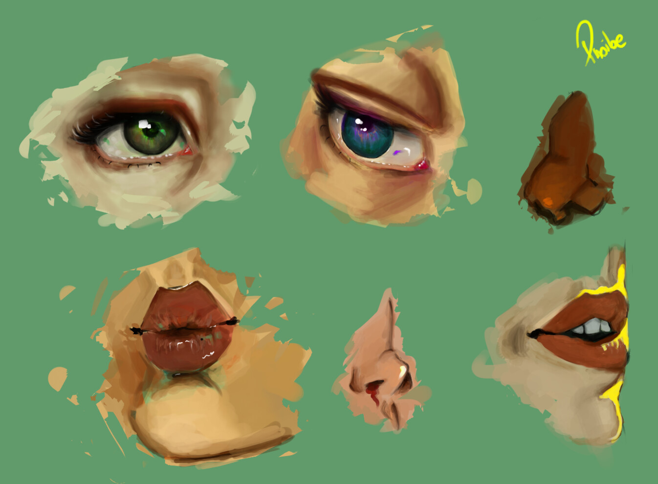 Different Parts From The Face